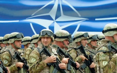 北约在德国启动今年最大规模军事演习，美国没参与