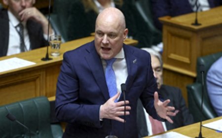 新西兰总理：不加入美国主导所谓加沙“和平委员会”