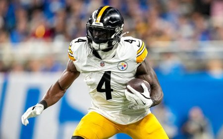 Lions fan files $100M lawsuit after DK Metcalf clash, denies racial slur claims