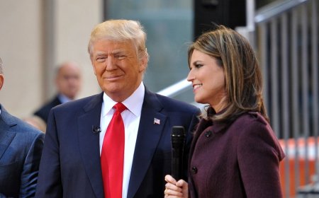Trump reacts to NBC host Savannah Guthrie's mother Nancy's mysterious abduction