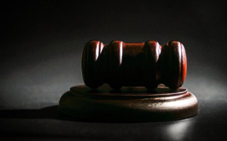 去年法院纠正涉企产权刑事冤错案件55件88人，进行信用恢复266.96万人次