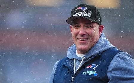 Former Titans stars say team made major mistake letting Mike Vrabel go: 'State of Tennessee is kicking itself'