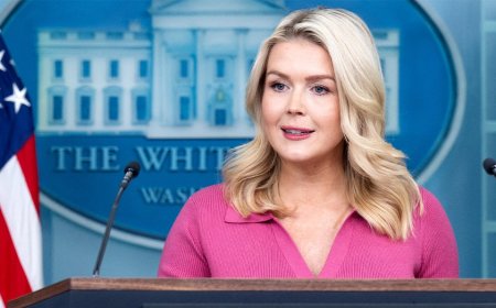 Leavitt flips script on media for balking at Fulton election probe after years of promoting Russia claims