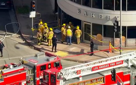 Multiple dead, several injured after vehicle crashes into Los Angeles grocery store