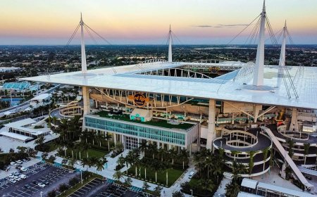 Civil rights groups issue Florida travel advisory for FIFA World Cup over immigration enforcement tactics