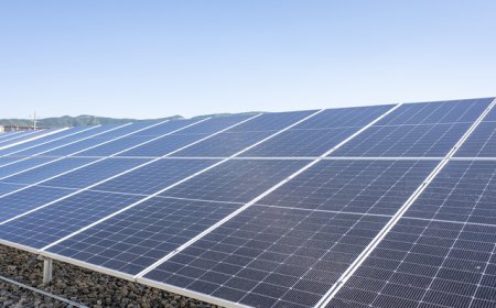 2026年光伏新增装机或降超两成