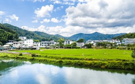 中央一号文件解读 | 一体化推进乡村生态保护修复，“见效”更要“长效”