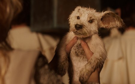 DCU 新作《超级少女》首曝中字超级碗预告，“超狗”小氪回归