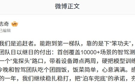 比亚迪何志奇谈智驾发展：能跑到第一梯队，靠的是下“笨功夫”