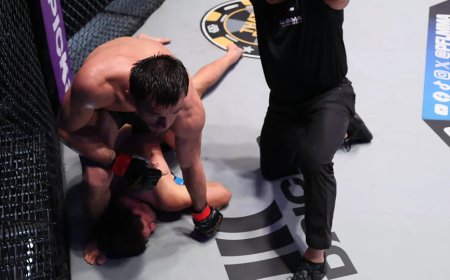 Video: Usman Nurmagomedov's suffocating PFL Dubai win over Alfie Davis