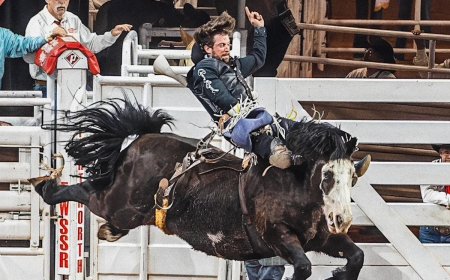 Fort Worth Stock Show and Rodeo Crowns 2026 Rough Stock Champions
