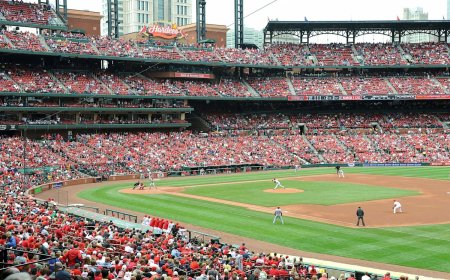 Sports fan shares video of upsetting sighting on TV broadcast: 'It's grown more vile than you realize'