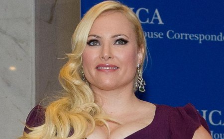 Meghan McCain's Cancelled Daytime Shows Jab Turns Into Her Own Drag Session