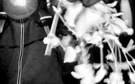 Retired Phoenix Sergeant Breaks Down New Photo Clues in Nancy Guthrie Case