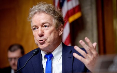 Rand Paul calls out Katie Couric’s ‘less than 14%’ migrant crime defense, gives her a reality check