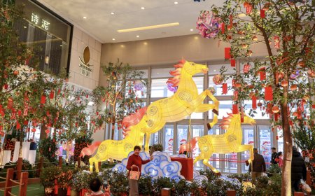 “红包雨”来袭！地方密集推出系列举措促进春节消费