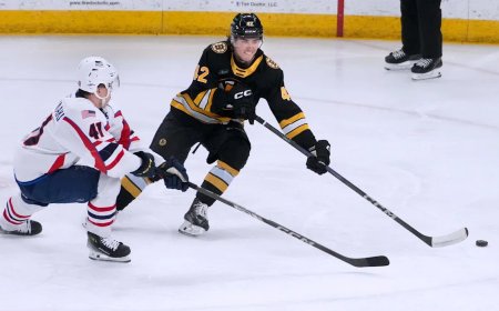 St. Louis Blues Weekly Prospect Report (Feb. 15)