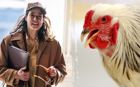 House Dem's graphic chicken decapitation 'horrified' her college roommates: 'Blood went everywhere'