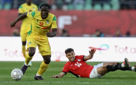 The Cheetahs to face Palestine and Guinea in March