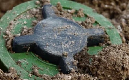 波兰媒体：波兰将正式退出《渥太华禁雷公约》