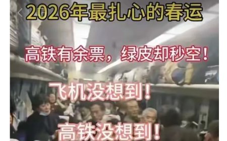 编造传播“2026 年春运绿皮车严重超员、人满为患”谣言，多人被行政处罚