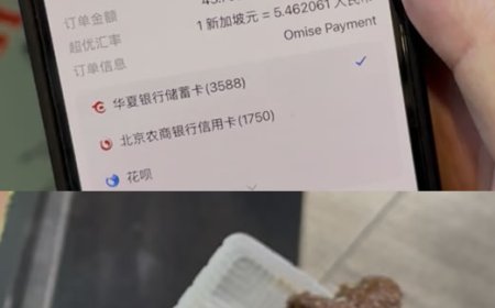 8新币的冰淇淋，让我看清国家之间的层级差