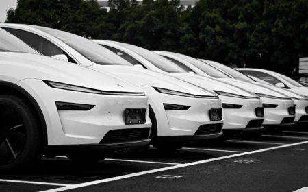 特斯拉Robotaxi无人出租运营8个月可用率仅19%