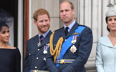Prince Harry Met With 'Stone Wall' After Trying To Talk To William Through 'Intermediary,' Expert Claims