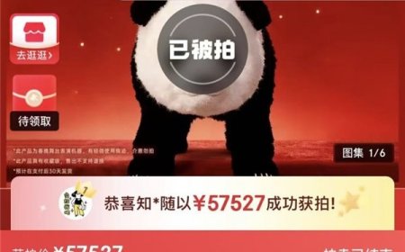 成交价 57527 元，2026 央视春晚魔法原子同款 MagicPanda 熊猫机器人拍卖落槌