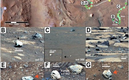 非冰封万里：新研究称古代火星曾温暖潮湿