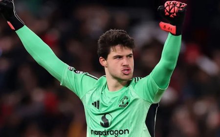 Senne Lammens: What Heaton and Bayindir think of Belgian