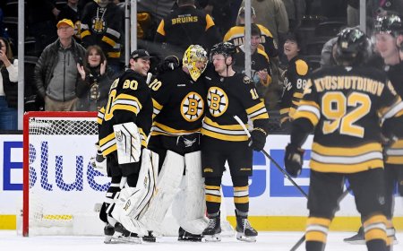 Boston Bruins Will Reward Their Players In The Trade Market Without Going Too Crazy