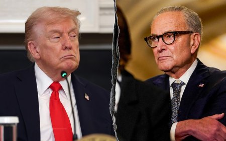 DHS funding stalemate thaws as White House sends Democrats 'serious' counteroffer