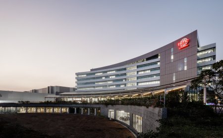 英伟达取代苹果 成为台积电最大客户