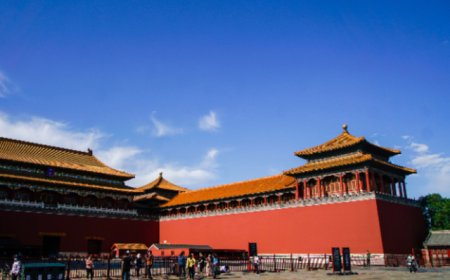 直通部委｜去年空气质量为有监测记录以来最优 《死亡证明》电子证照具有同等法律效力