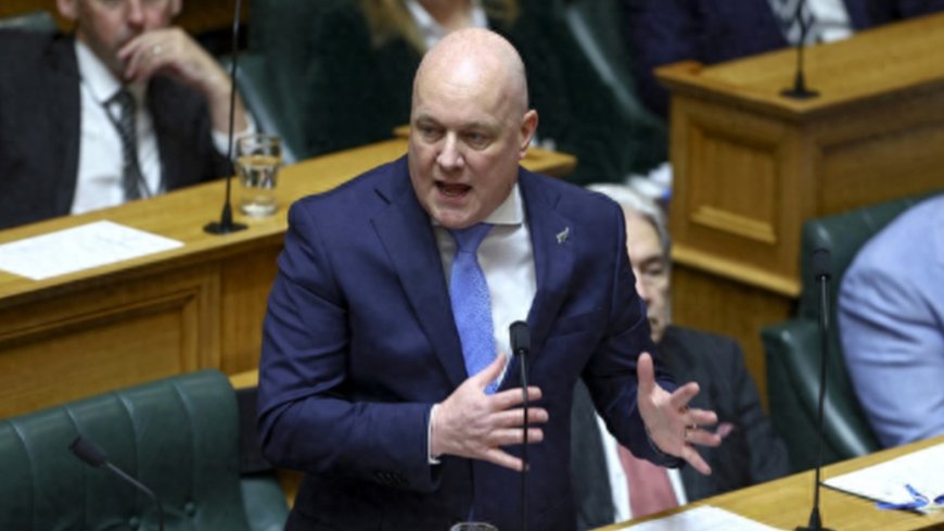 新西兰总理：不加入美国主导所谓加沙“和平委员会”