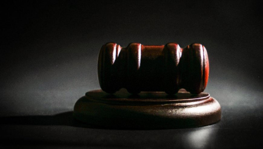 去年法院纠正涉企产权刑事冤错案件55件88人，进行信用恢复266.96万人次