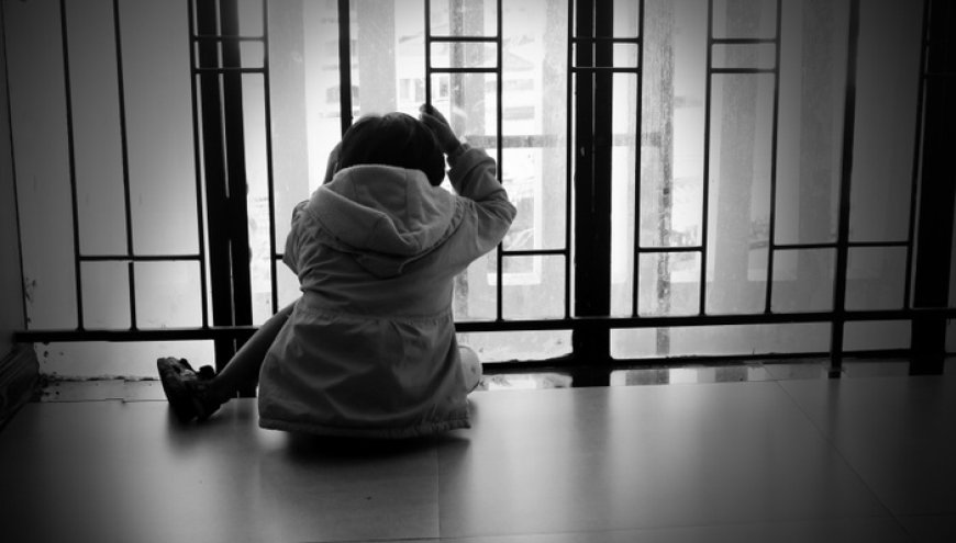 地方新闻精选 | 泉州通过全国首个孤独症儿童关爱法规 宁波患儿术后离世调查结果发布