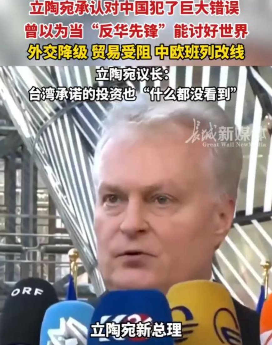 亏成冤大头！立陶宛总理亲口认错：我们对中国犯了一个巨大错误
