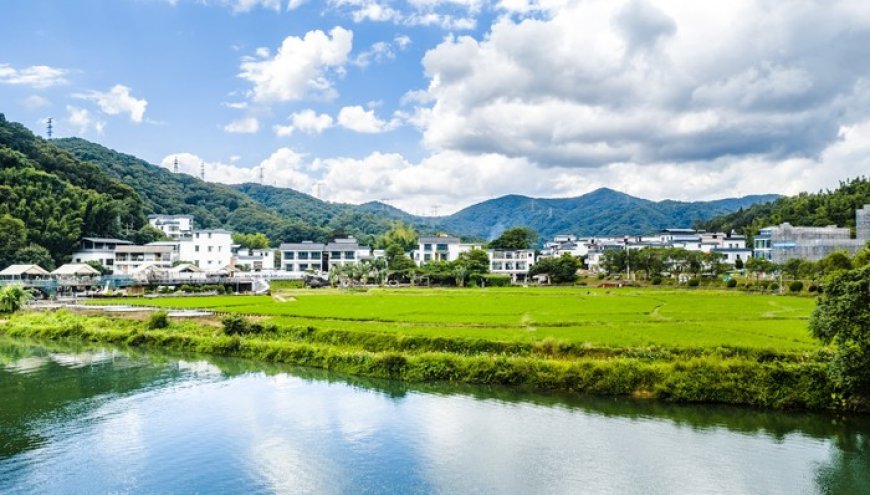 中央一号文件解读 | 一体化推进乡村生态保护修复，“见效”更要“长效”