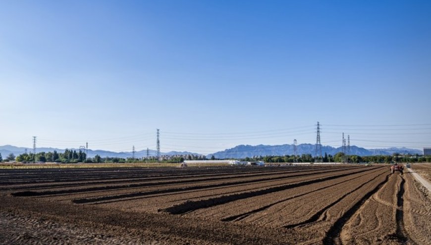 中央一号文件解读｜严防“大棚房”问题反弹回潮，常态化整治高压不减