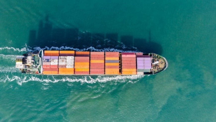 上海市政协委员钟永喜：沪港优势互补，推动两地企业“拼船出海”｜上海两会