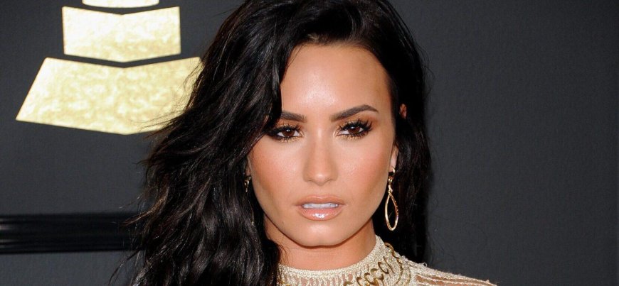 Demi Lovato's Tour Cancellation Sparks Tickets Speculations