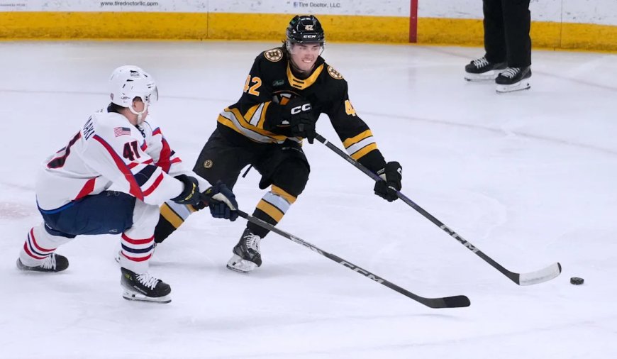 St. Louis Blues Weekly Prospect Report (Feb. 15)