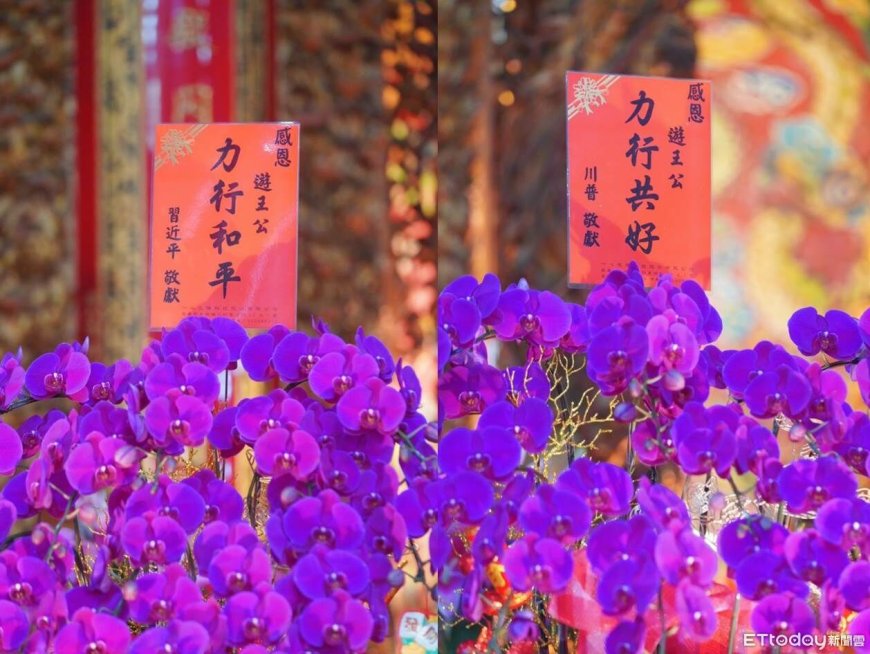 遊學太子爺春節駐駕奇觀！川、習「跨海獻花」 專家曝幕後真相