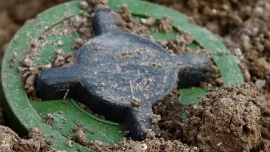 波兰媒体：波兰将正式退出《渥太华禁雷公约》