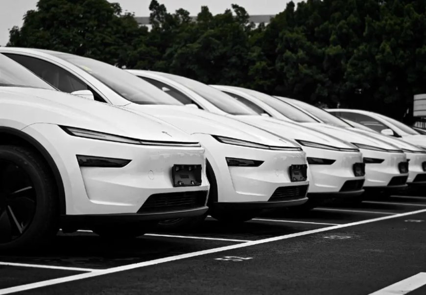 特斯拉Robotaxi无人出租运营8个月可用率仅19%