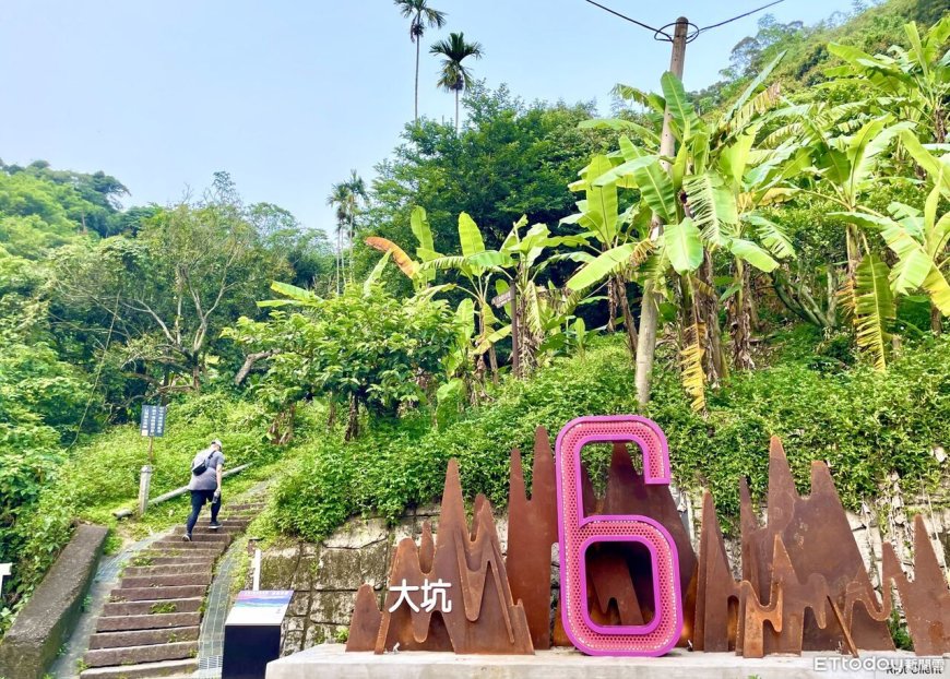 迎馬年走春步步高升　大坑步道成台中熱門首選