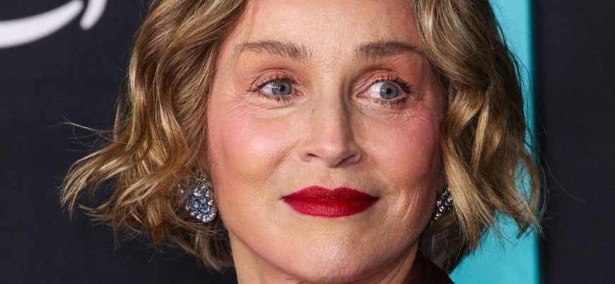 Sharon Stone Calls Out Modern Culture In Heated Nude Body Debate