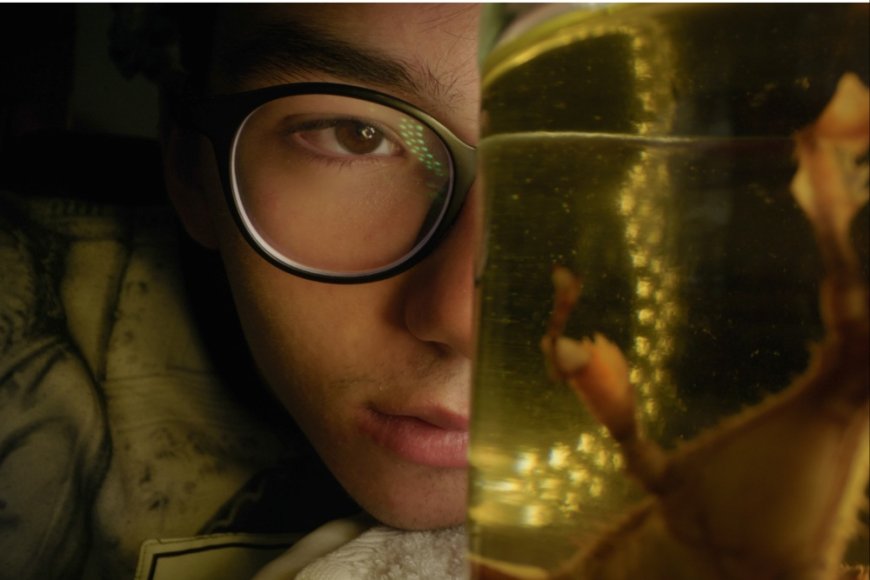 Thessaloniki Intl. Documentary Festival Unveils International Competition Lineup (EXCLUSIVE)